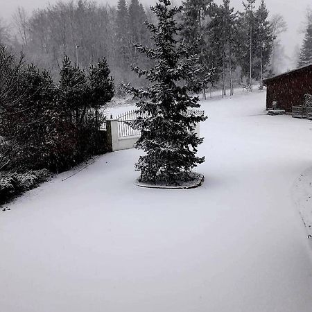 Ferienwohnung im Westerwald Mengerskirchen Exterior foto