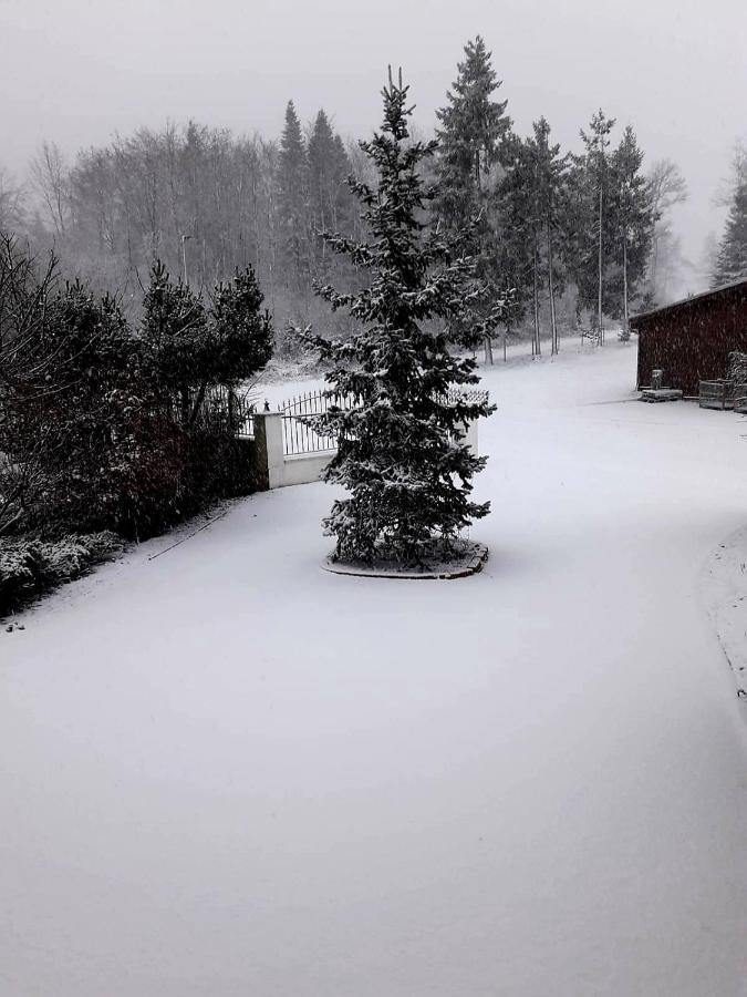 Ferienwohnung im Westerwald Mengerskirchen Exterior foto